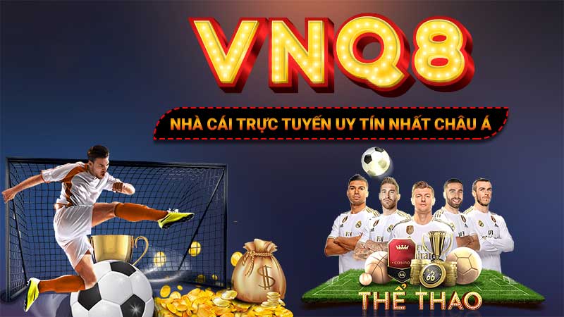 Giới thiệu VNQ8 chi tiết