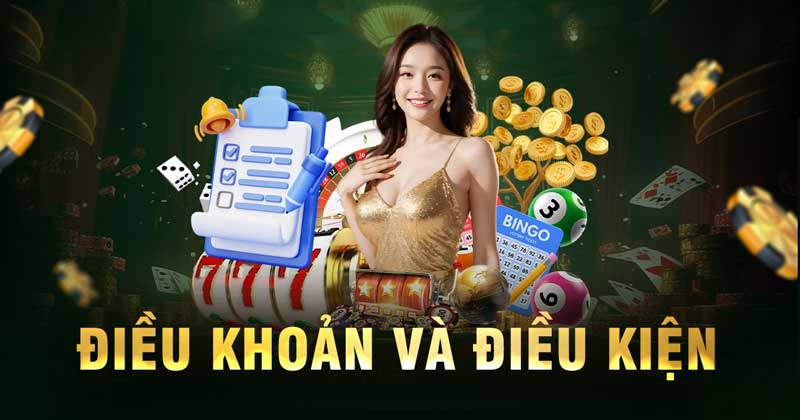 Quy định điều khoản và điều kiện VNQ8